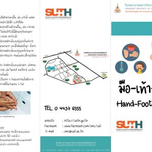 มือ-เท้า-ปาก (Hand-Foot-Mouth)