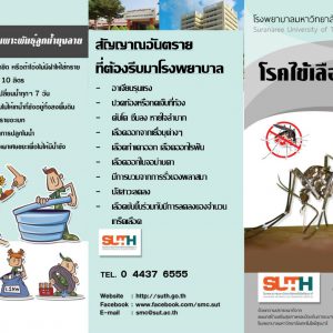 โรคไข้เลือดออก