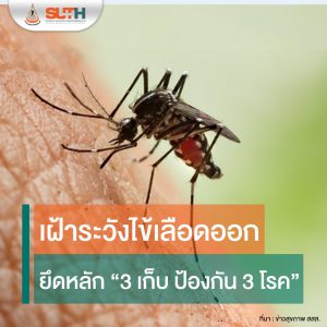 ไข้เลือดออก โรคยอดฮิตที่ต้องเฝ้าระวังในช่วงฝนตกหนักแบบนี้ แนะนำประชาชน ชุมชน กำจัดแหล่งเพาะพันธุ์ยุงลาย โดยเน้นมาตรการ “3 เก็บ ป้องกัน 3 โรค