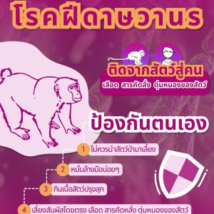 ประชาสัมพันธ์ : โรคฝีดาษวานร Monkey Pox