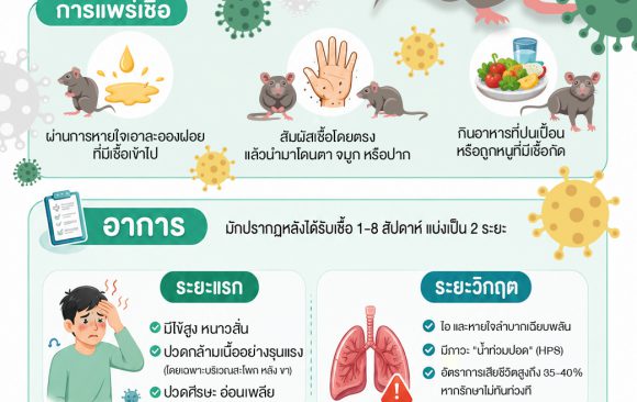 🐁🐭🌧️รู้จัก “ไวรัสฮันตา” ภัยเงียบจากสัตว์ฟันแทะ 🐭🐀🌧️